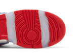 Nike Dunk Low SB 'Sandy Bodecker' view 5