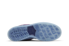 Run The Jewels x Nike Dunk Low SB '4/20' view 4