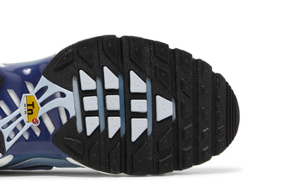 Nike Wmns Air Max Plus 'Celestine Blue'