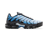Nike Air Max Plus 'Neptune Blue' view 1