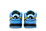 The Powerpuff Girls x Nike Dunk Low Pro SB QS TD 'Bubbles' view 6