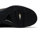 Nike Lebron 9 P.S. Elite 'Away' view 5