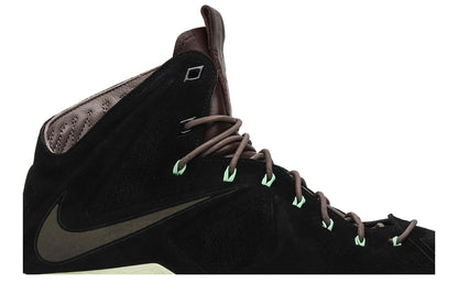 Nike LeBron 10 EXT QS 'Black Suede'
