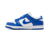 Nike Dunk Low Retro SP 'Kentucky' view 3