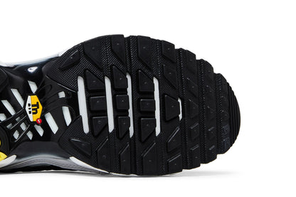 Nike Air Max Plus 'Killer Whale'