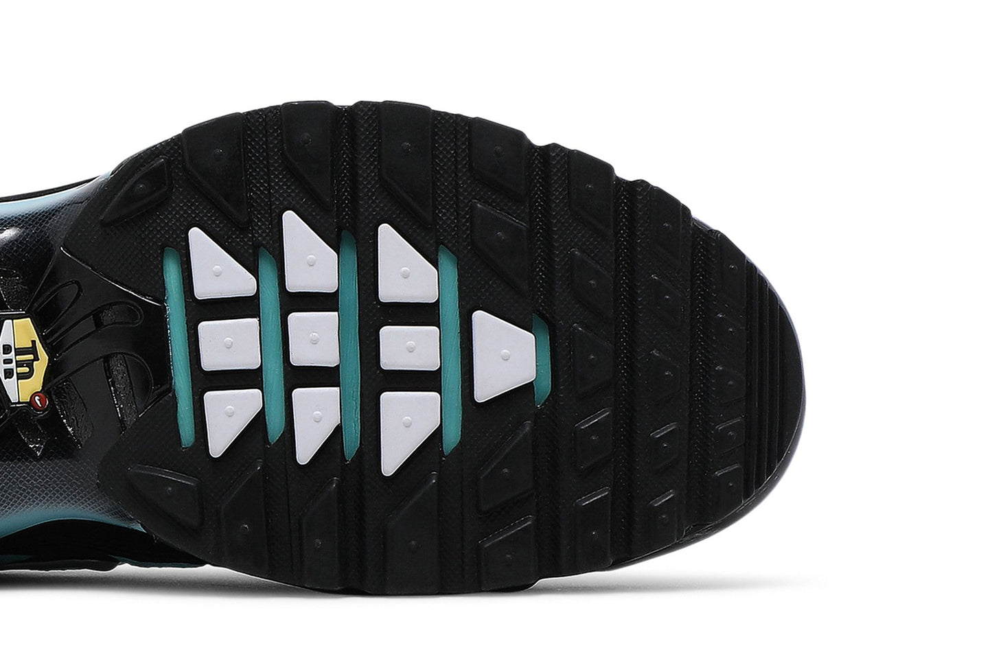 Nike Air Max Plus 'Aqua Silver'