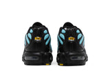 Nike Air Max Plus 'Aqua Silver' view 6