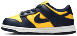 Nike Dunk Low TD 'Michigan' 2021 view 4