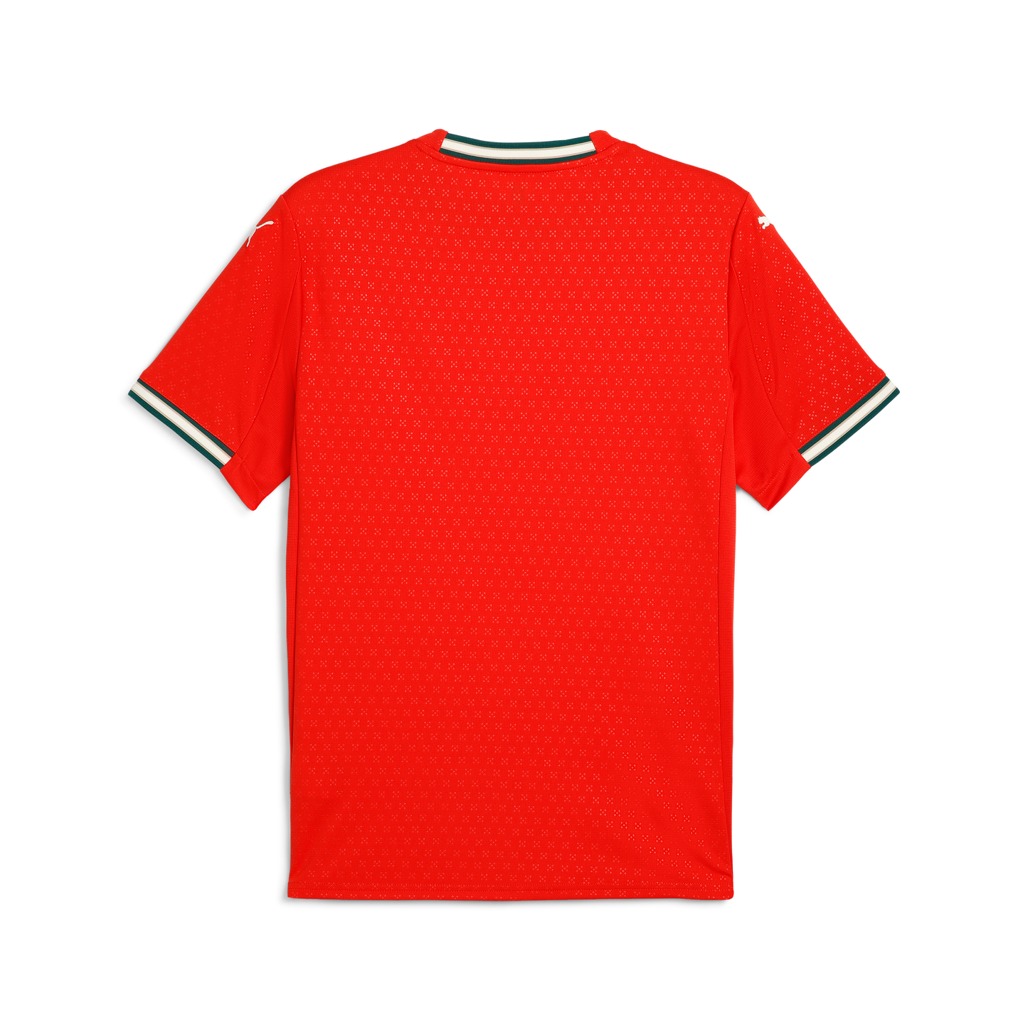 Portugal PUMA 2025 Home Shirt