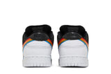 Polaroid x Nike Dunk Low SB view 6