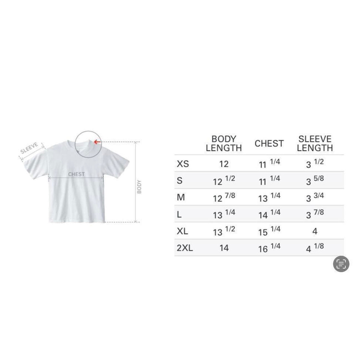 Cotton T Shirt 1801 in Cement