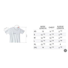 Cotton T Shirt 1801 in Cement view 8