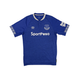 Everton 2018-2019 Home view 1