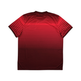 Portugal 2014 Home (100th Anniversary) view 2