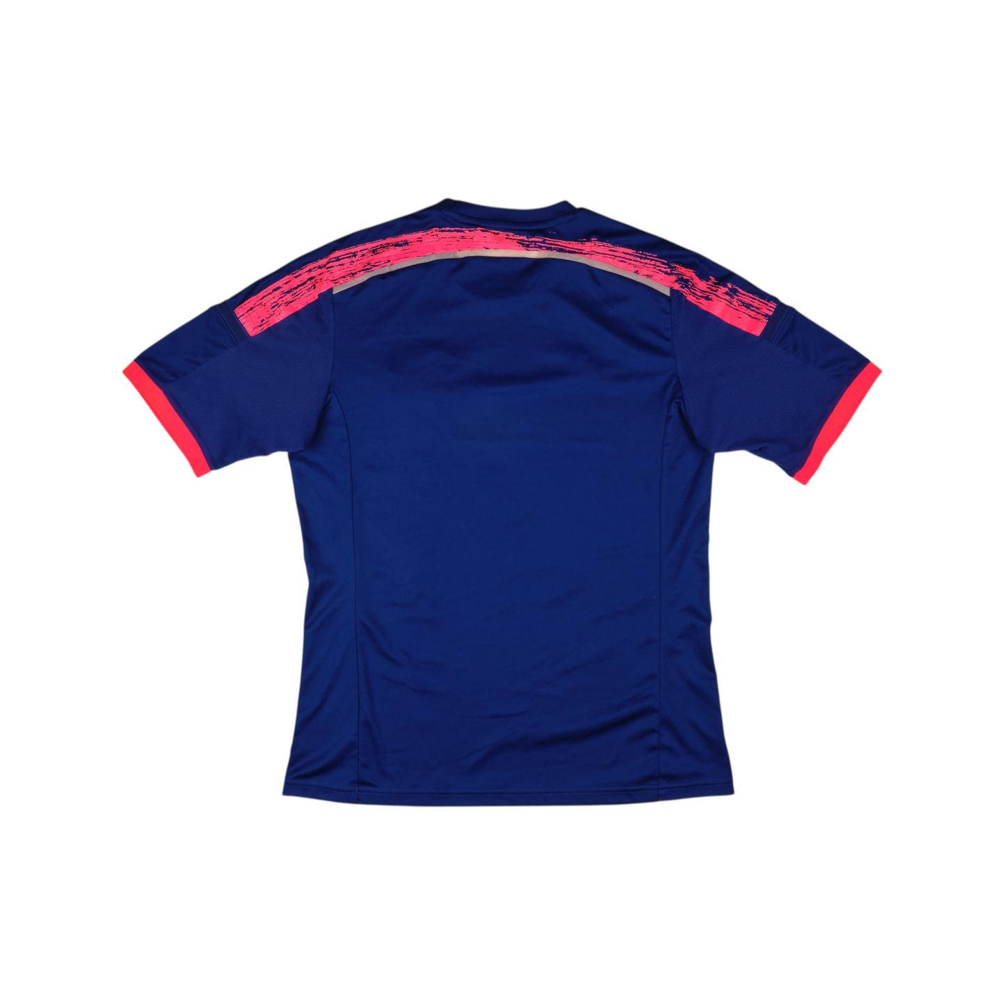 Japan 2014-15 Home