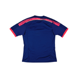 Japan 2014-15 Home view 2
