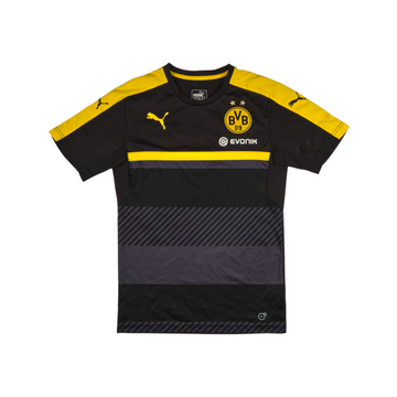 Borussia Dortmund 2016-17 Training
